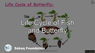 Life Cycle of Fish and Butterfly