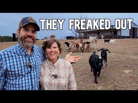 We Surprised The Whole Farm Today!