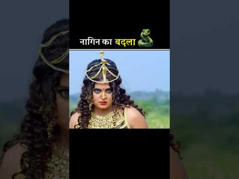 नागिन का बदला 😡 #shortfeed #shorts