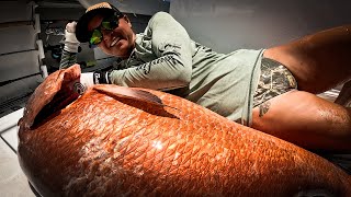 This Girl Can Fish Better than You | Look at her Giant Snapper!