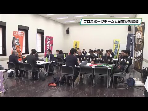栃木県内プロスポーツチームと企業が面談　とちぎプロスポーツハブ相談会開催