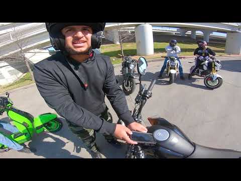 my warm welcome home...  Wild Rideout!