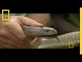 BioKen Snake Farm Contributions and Facts
