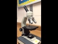 Exploring Microscope Components and Their Functions