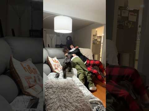 Better than any Christmas gift ๐ฅน #reels #explore #explorepage #omg #surprise #family #wow