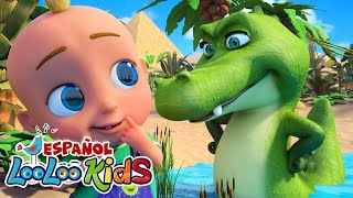 El Cocodrilo - Maratón de 3 Horas de Canciones para Niños | ¡Canta y Juega con LooLoo Kids!