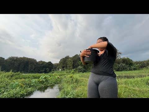 Sore hari ke sawah cari ikan hasil nya di luar dugaan ,  hasil tangkapan langsung di bakar