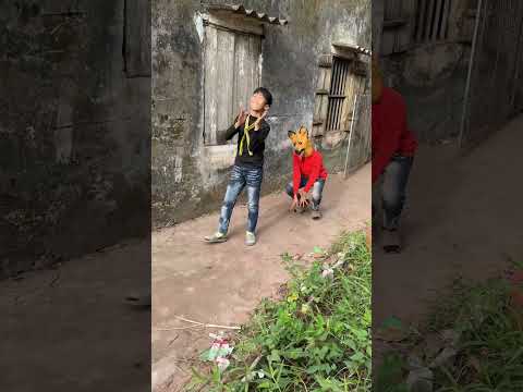 Nhận nuôi con chó vui tính - Adopt a fun dog #shorts