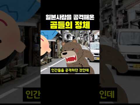 일본 사람을 공격해온 곰들의 정체