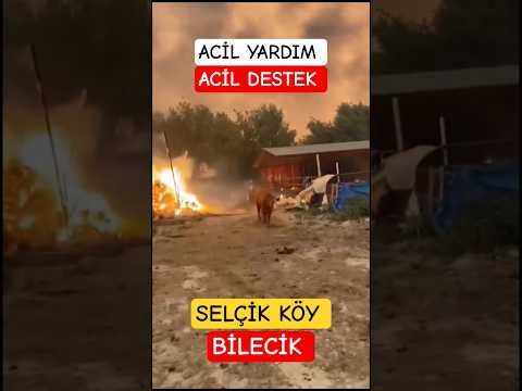 🎯 Bilecik Osmaneli'de Çıkan Orman Yangınında Selçik Köy yanmaya başladı ACİL YARDIM