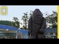 Exploring the Bigfoot Legend