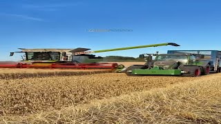 Winter Barley 2025 is Go #harvest2025