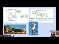 Electromagnetic Waves and Their Applications