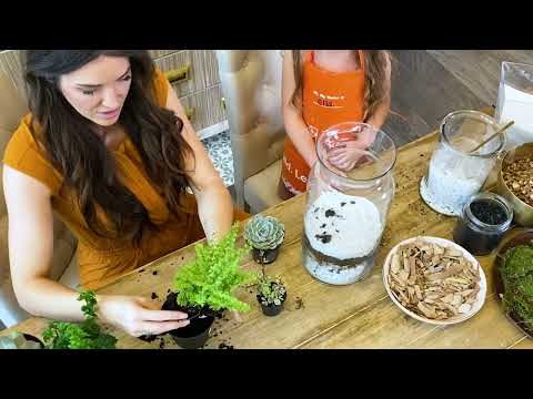 DIY TERRARIUMS 🌱 Summer DIY Workshop [kid friendly]