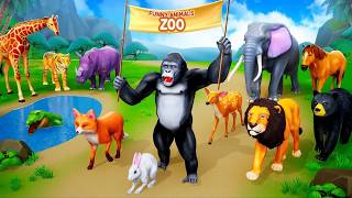 Forest Animals Build a Zoo for Shelter! Amazing Zoo Diorama!