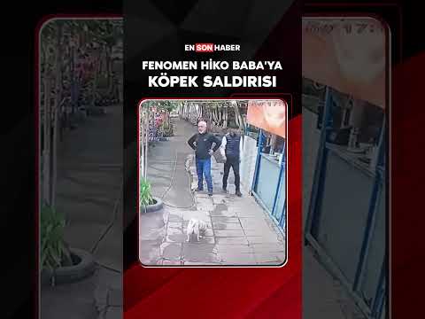 Fenomen Hiko Baba’ya köpek saldırısı