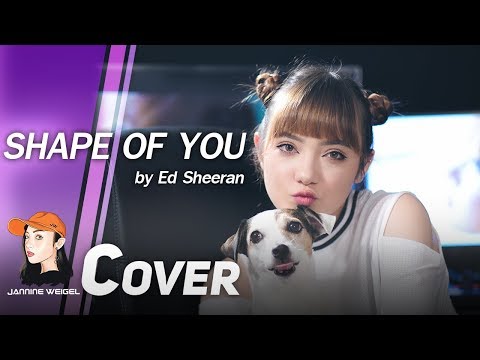 Ed Sheeran - Shape of You cover by Jannine Weigel ft.Tyler & Ryan