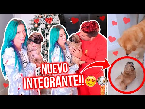 NUEVO MIEMBRO EN LA FAMILIA!!! 🤰🏼🐶❤️ | 24 Dic 2020