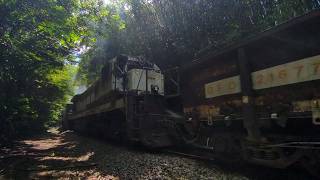 3 MOMENTOS NA FERROVIA! Túnel de Árvores, Pátio e Reta da Granja