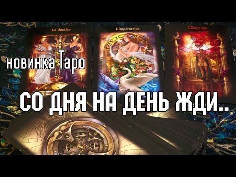 Небывалый СЛУЧАЙ 📌Что в Дом войдёт (в Судьбу),Что выйдет из неё#tarot #shorts #гадание