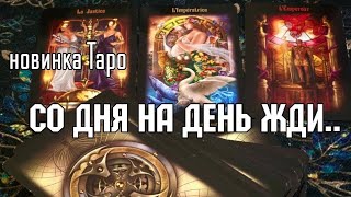 Небывалый СЛУЧАЙ 📌Что в Дом войдёт (в Судьбу),Что выйдет из неё#tarot #shorts #гадание