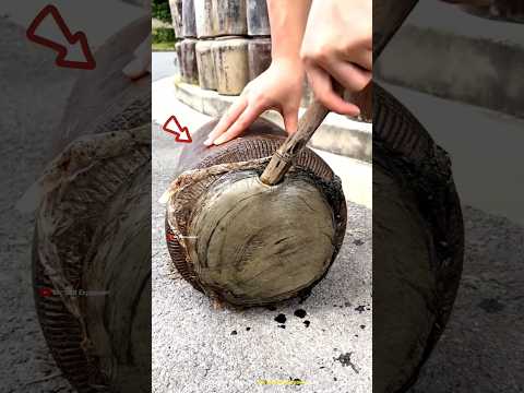 Boy found a hundred year old clay pot