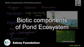 Biotic components of Pond Ecosystem