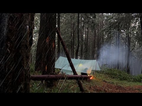 Experience the MOST RELAXING Rain Camping Adventure in a Misty Pine Forest!