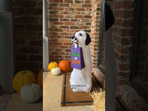 Part 2: Painting the viral Halloween ghost dog to look like my Dalmatian!