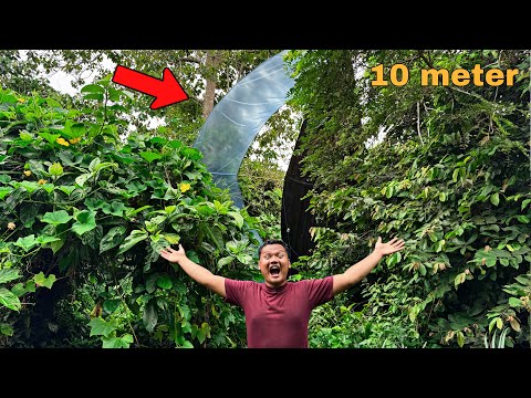 Hoki tingkat dewa ketemu layangan putus big size 10 meter😱