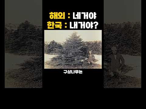 한국인들이 의외로 잘 모르는 우리나라 토종 나무 근황