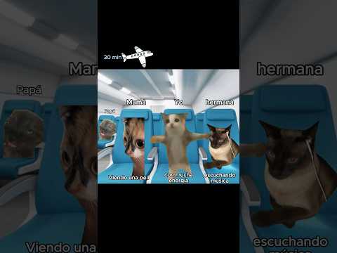 unas vacaciones típicas pt1 #cat #parati #fyp #fypシ゚viral #relatable #gatoshablando #memes #shorts