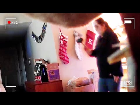 Woman Installs Indoor Camera, Then Captures Something Sickening