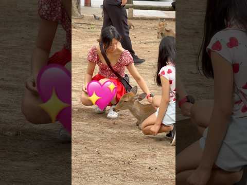 甘い鹿との出会い 🌸🦌 | 奈良公園 日本の観光体験