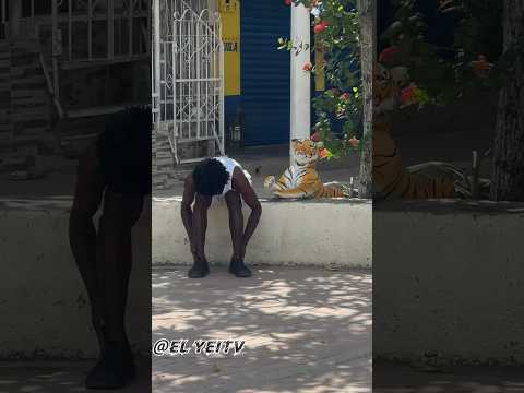 El tigre ? sorpresa #viral #tendencias #viralvideo #reels #viralreels #brasil #pakistan