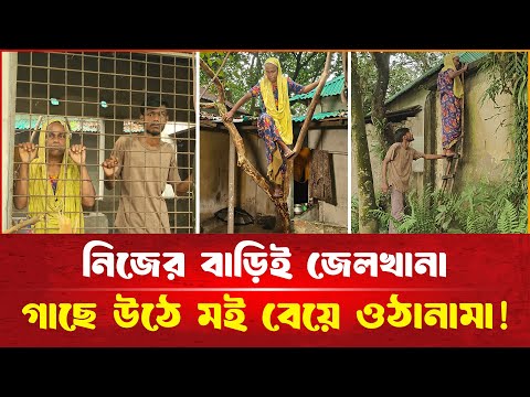 জমিতে বেড়া দেওয়ায় মই বেয়ে গাছে উঠে উঠানামা করতে হয় বৃদ্ধা মায়ের!| দেশেরপত্র | Desherpotro