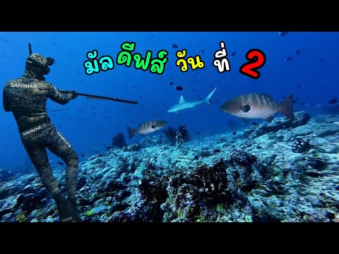 ดำน้ำยิงปลา l ตอน มัลดีฟส์วันที่สอง