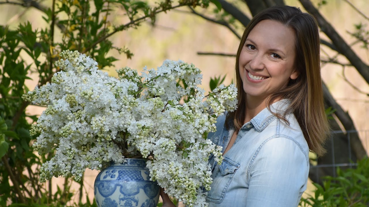 Keep Cut Lilacs Looking Fresh for Longer with these Tips!