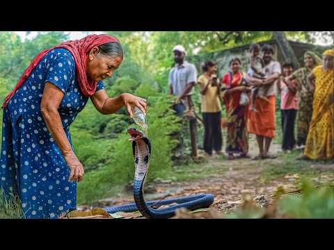 बेबस बूढ़ी महिला ने जहरीले नाग पर डाला पेट्रोल! गुस्से से पागल Cobra साँप देख डर के मारे रोने लगी।