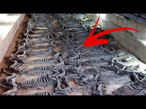4 Nejpozoruhodnější Archeologické Objevy v Historii
