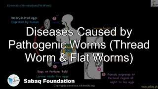 Diseases Caused by Pathogenic Worms (Thread Worm & Flat Worms)