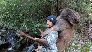 Freezer Filling Mission in Tiger Country!