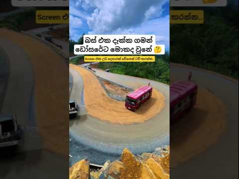 😒 අමුතු පාර #travel #automobile #italy #bus #busrace #music #trending #foryou #shortsfeed #shorts