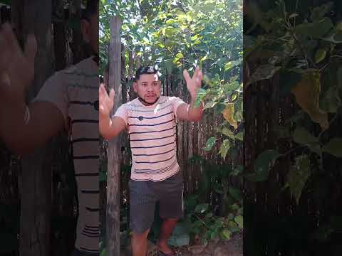 Acho que ela entendeu errado kkkkk #comédia #humor