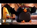 Exploring Anger Management with Red and Friends