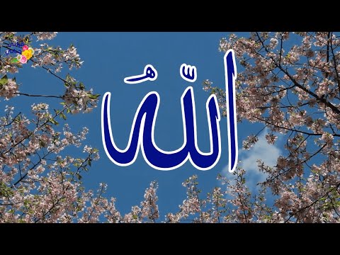 رب كريم لا إنتهاء لفضله.. أنشودة أسماء الله الحسنى تلامس القلب