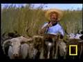 Life of the Gaucho in Argentina
