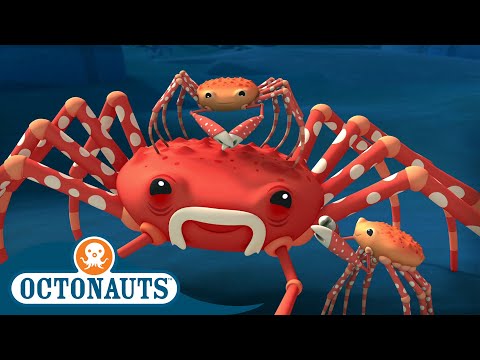@Octonauts - The Spider Crab | Full Episode 45 | Cartoons for Kids | Underwater Sea Education