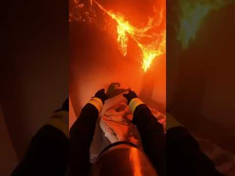 Bombeiro salva papagaio preso em incêndio!