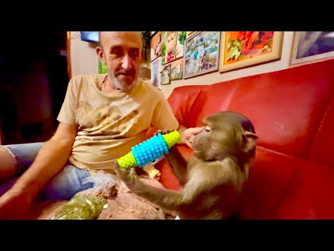 Степа на меня даже не смотрит, а с Владом кушают вместе и ИГРАЮТСЯ ИГРУШКАМИ)